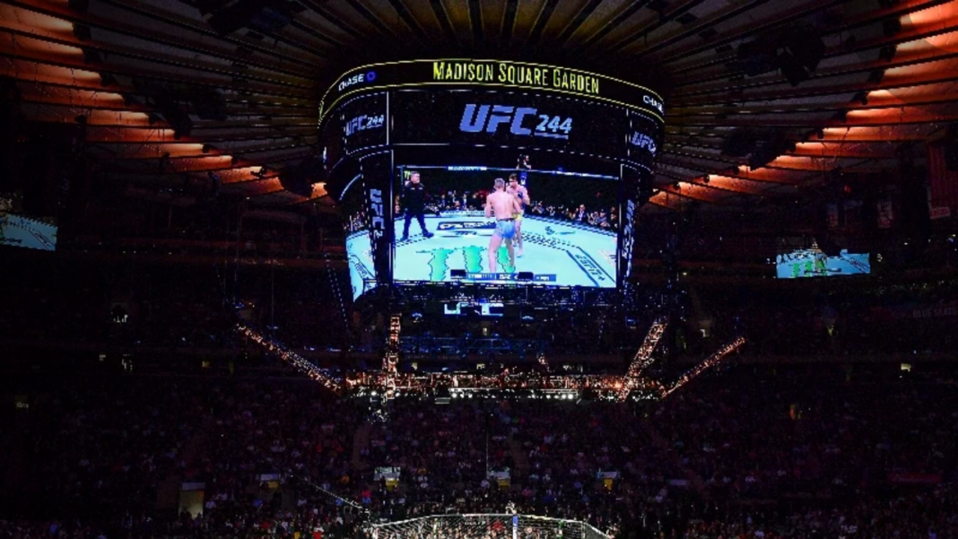 stream ufc