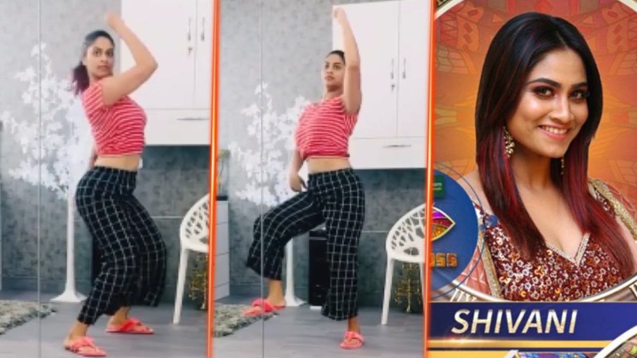 Shivani Narayanan Dhanush song dance video