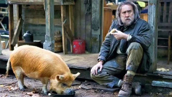 The Pig From The Nicolas Cage Film 