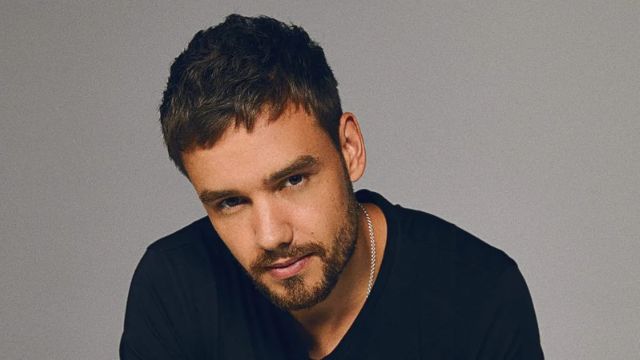 liam payne net worth