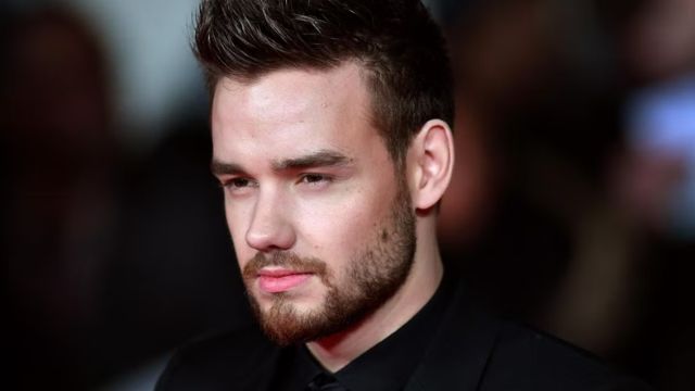 liam payne net worth