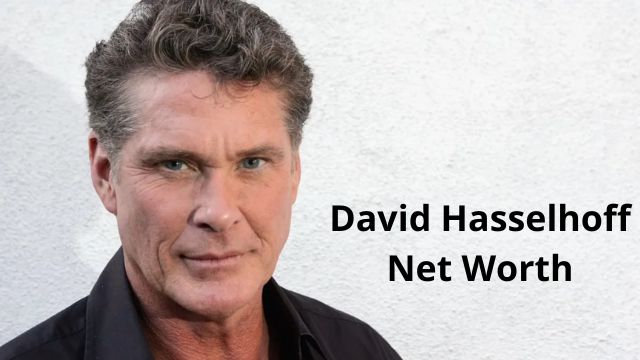 David Hasselhoff net worth