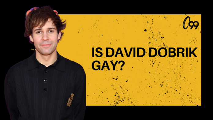 is david dobrik gay?