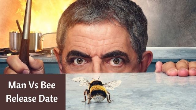 Man Vs Bee Release Date