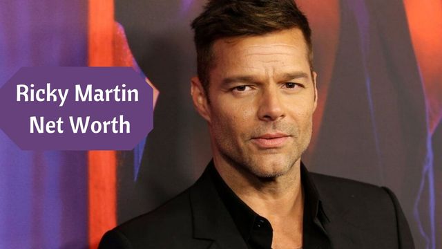 Ricky Martin Net Worth