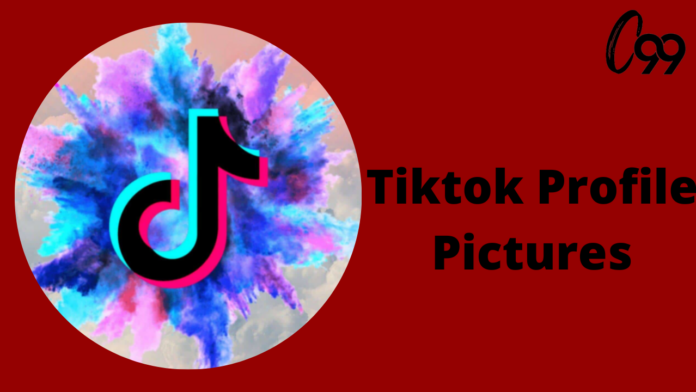 Tiktok Profile Pictures