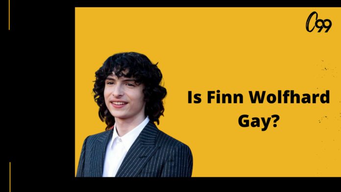 is finn wolfhard gay