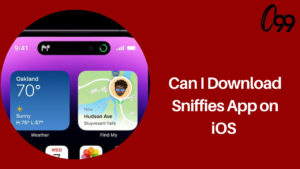 Can I Download Sniffies App on iOS in 2022