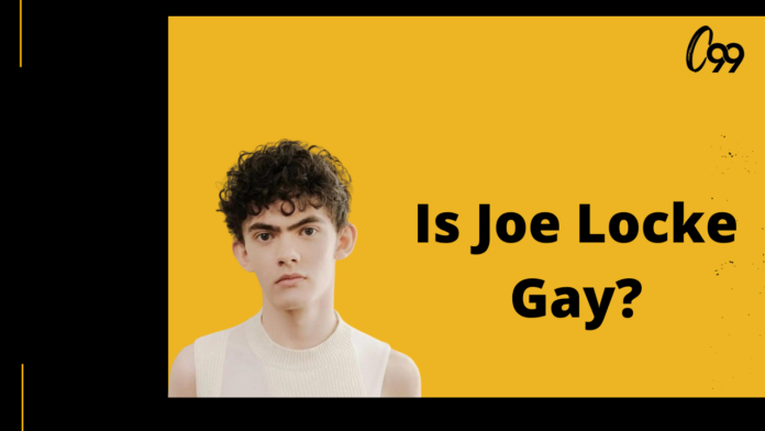 is Joe Locke Gay
