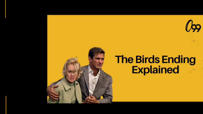 the birds ending explained