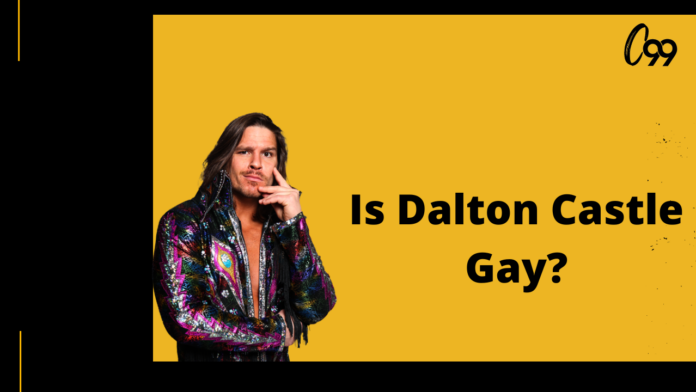 is dalton castle gay
