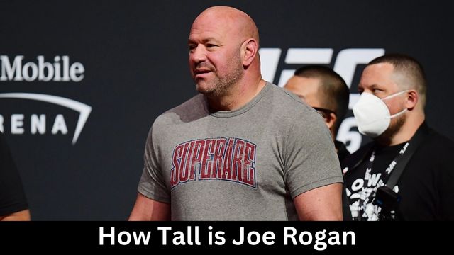 How Tall is Joe Rogan