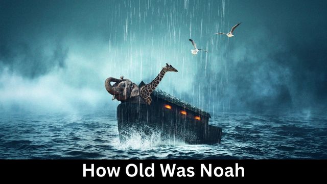 How Old Was Noah