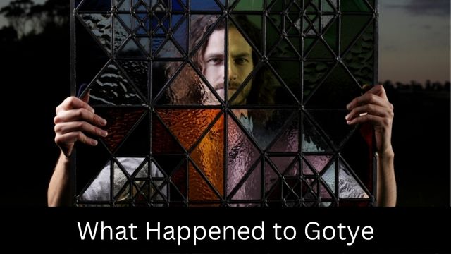 What Happened to Gotye