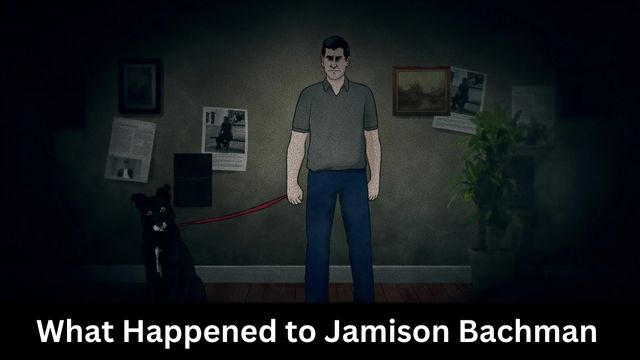 What Happened to Jamison Bachman
