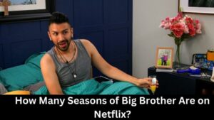 How Many Seasons of Big Brother Are on Netflix?
