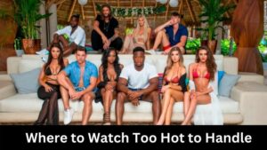 Where to Watch Too Hot to Handle