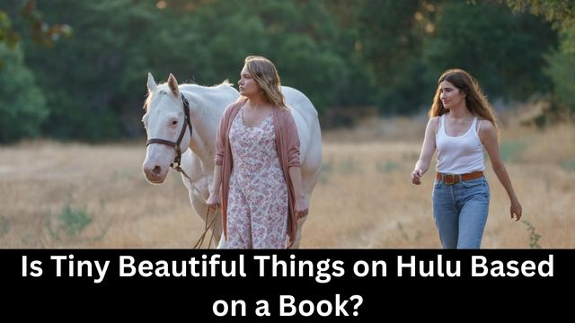 Is Tiny Beautiful Things on Hulu Based on a Book?