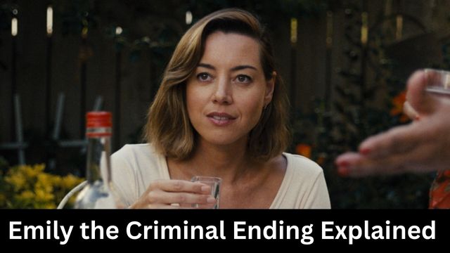 Emily the Criminal Ending Explained