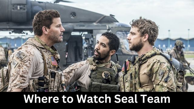 Where to Watch Seal Team