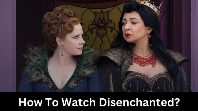 How To Watch Disenchanted?