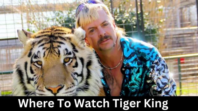 Where To Watch Tiger King