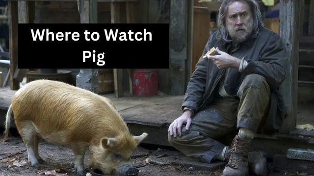 Where to Watch Pig