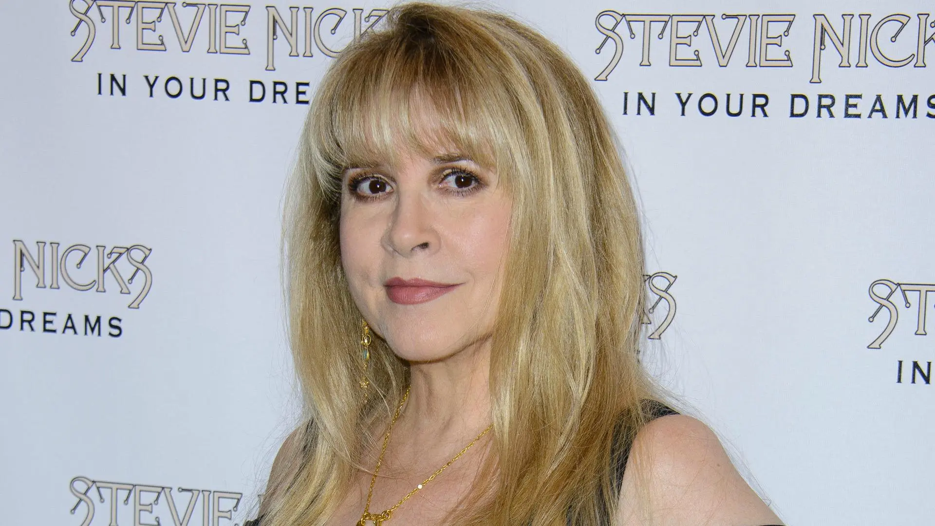 Unveiling the Untold Narrative: The True Story That Inspired Stevie Nicks' Heartbreaking Fleetwood Mac Song 'Landslide!