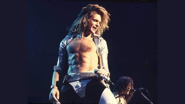is david lee roth gay
