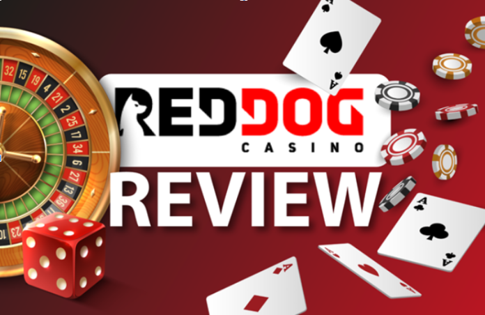 Red Dog Gambling Site: A Comprehensive Review