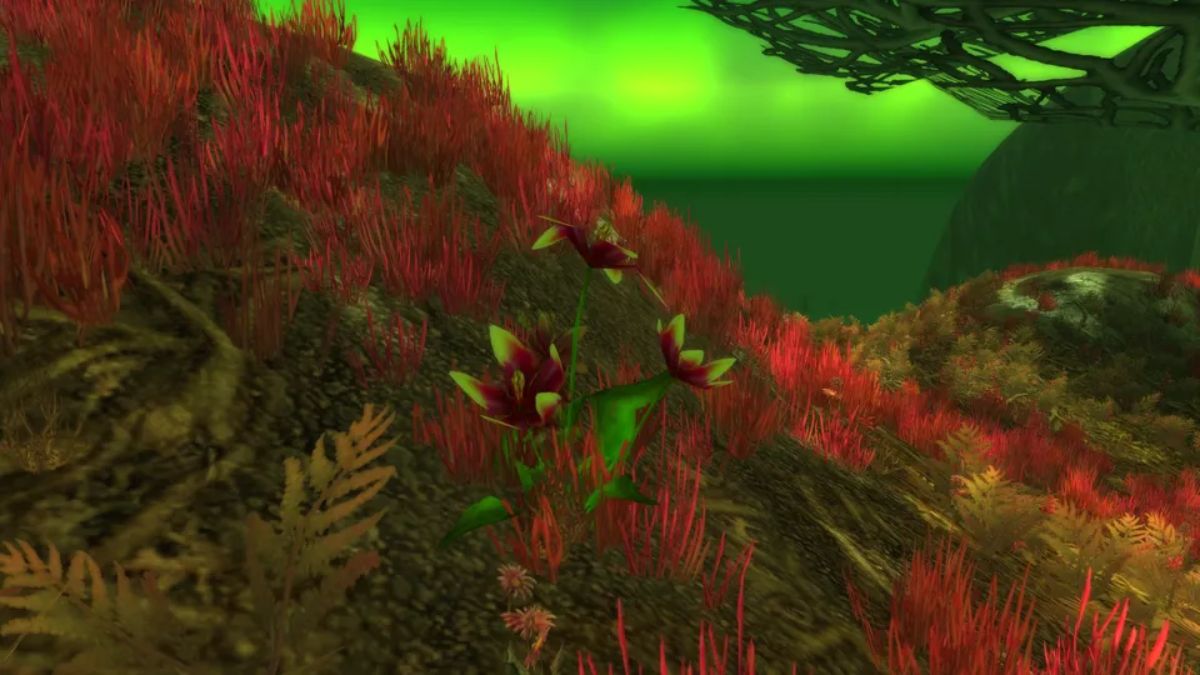 How To Get Songflower Serenade Buff In WoW SoD Phase 3?