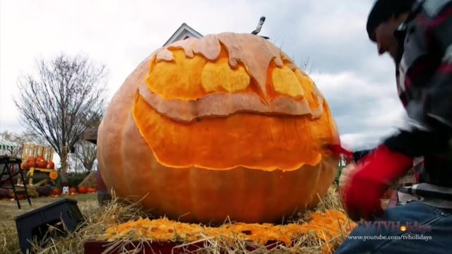 Where Was Outrageous Pumpkins Filmed