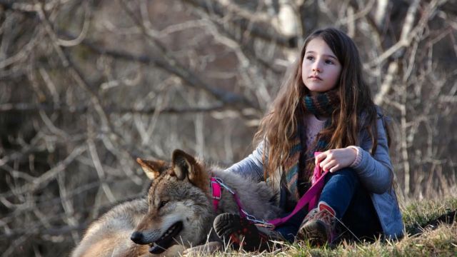 Where Was Vicky and Her Mystery Filmed