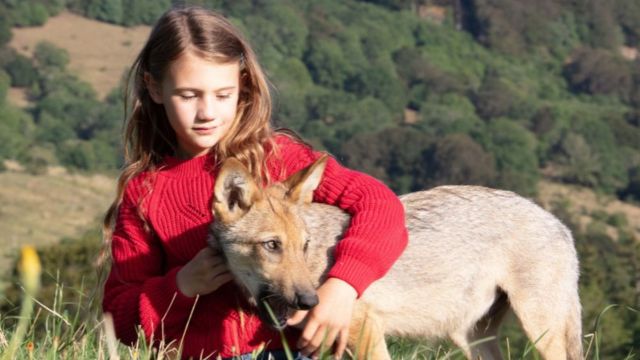 Where Was Vicky and Her Mystery Filmed